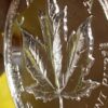 RCAF Centennial Silver Maple High Relief 10 Pack - Image 3